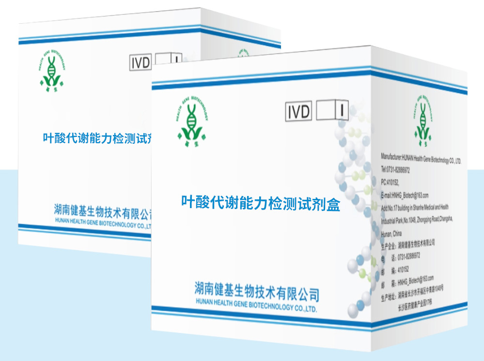 SW480细胞
